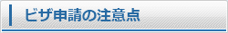 ビザ申請の注意点
